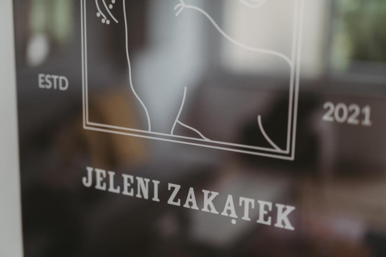Jeleni Zakatek - Apartament W Stolicy Karkonoszy Jelenia Góra Exteriör bild